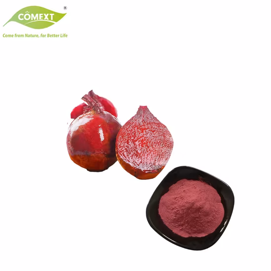 Extrait naturel de plante à base de plantes en poudre de racine de betterave