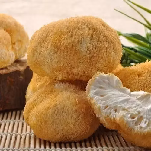 Extrait d'Hericium Erinaceus Champignon Tête de Singe 30% Polysaccharides